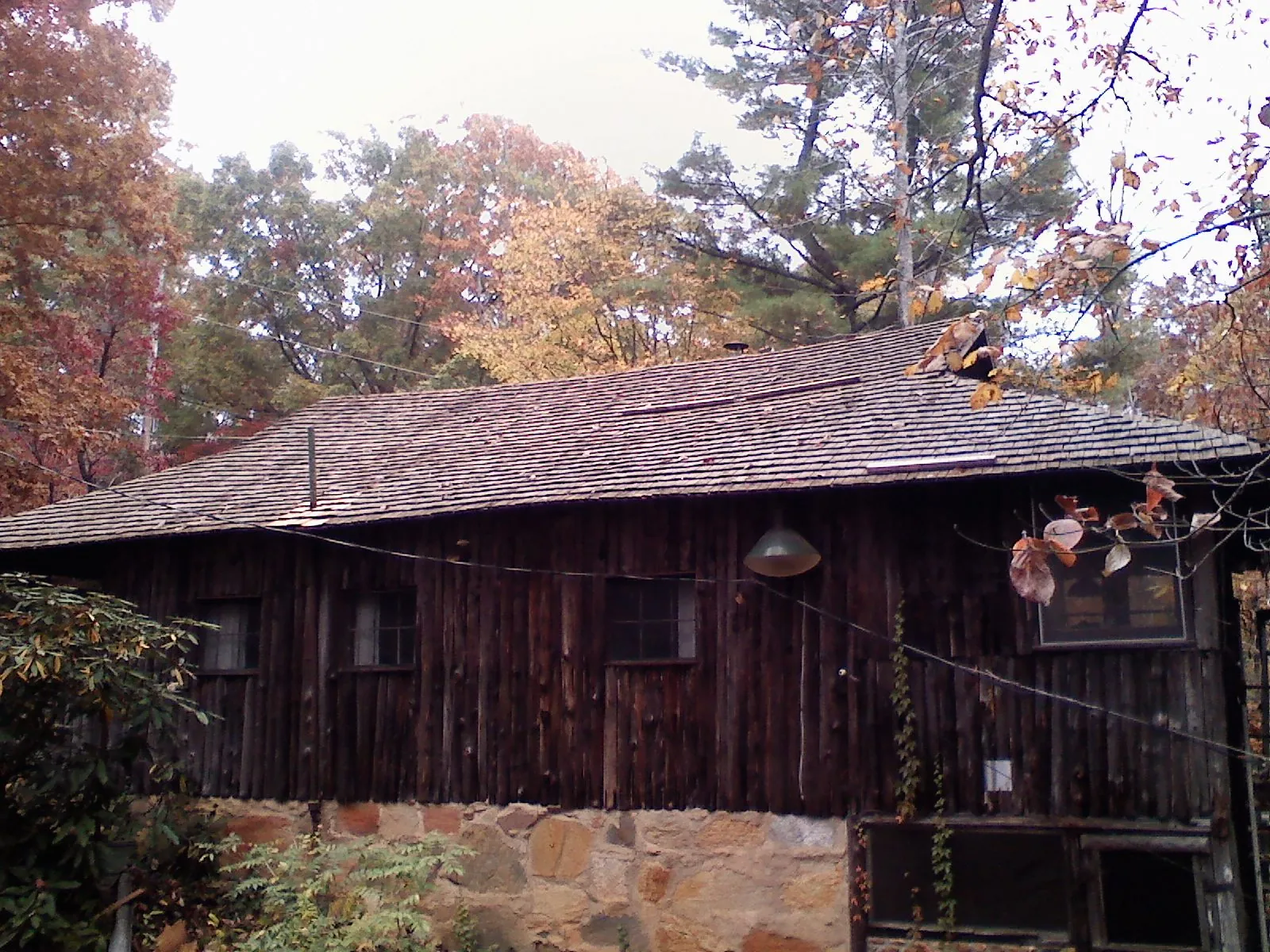Weathered wood shake roof on a rustic board sided cabin in South Grafton